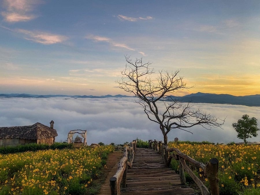 Ho Chi Minh - Da Lat - Mui Ne Muslim Tour 4 Days